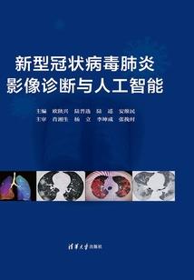 冒险小说家