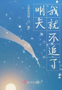 宠物小精灵之光影岁月
