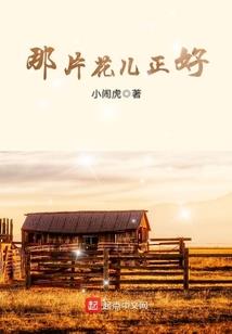 悟了飞升
