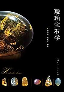 伝书传