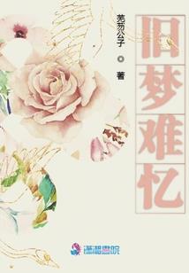 Y的11年