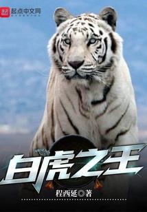 傻儿皇帝
