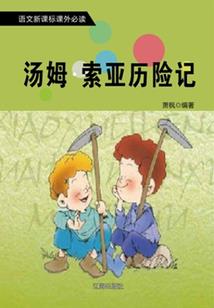 逍遥小账房