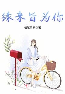 钢板军官救国记