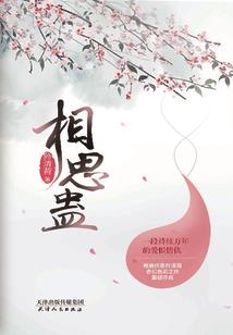 问题解决专家