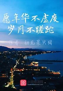 蜘蛛迷网