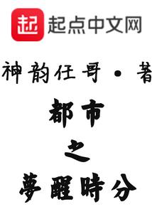 宠物小精灵之小风传说