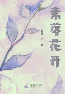 我是明星系统