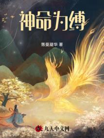 我在海贼抓四皇