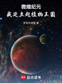 我的傻瓜爱人