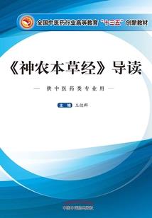 一拳哥斯拉