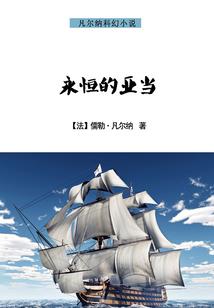 校园飞鹏