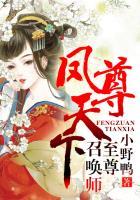 命运幻想崩坏