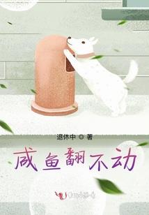 格外清新的玫瑰