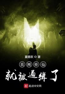 终极武途