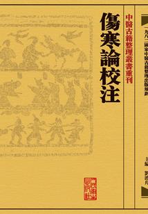 狐狸七七