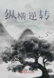 隐兽之都