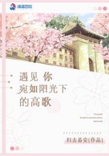 异世大陆之风灵之翼