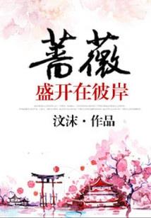 解析能力者的次元生活