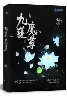 超武机战风暴