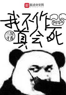 奇梦之风
