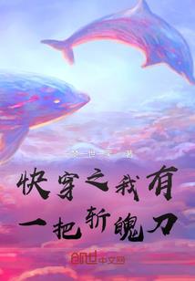全职猎人畅想