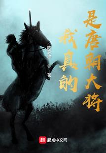 漫漫归途一风之子