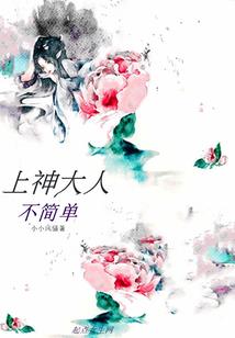 口袋妖怪之智哥传奇