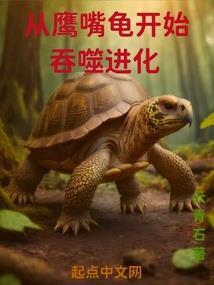 乌木君