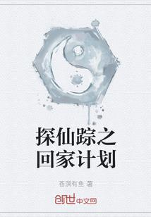 谍影迷城