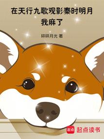 圣诞之夜