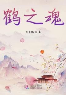 盛唐侠骨