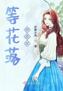 大灭轮回录