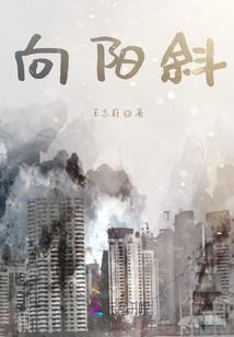我对现实的理解