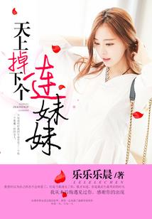 天才军械师：首席独宠