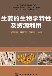 G案件