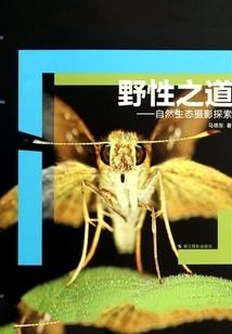 白叶凋零的尽头