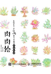 低调重生神奇宝贝世界