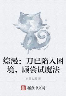 海贼王之王者猎人
