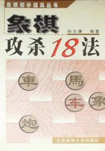 审判大陆：往生佣兵团