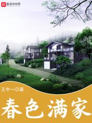 秩序崩坏