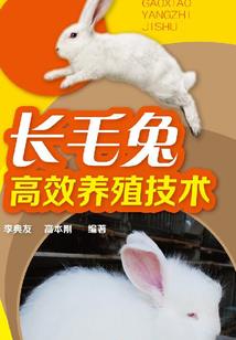 你，还记得那个ta吗