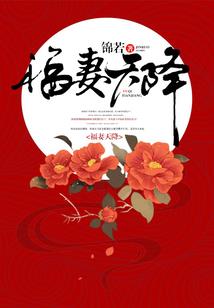 此乃雷道阵法