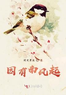 平衡真仙