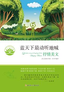维基纪元
