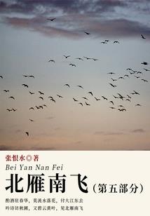 西游：我的取经路太诡异了吧！