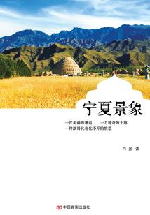 为什么我的系统是个奇葩？！