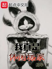 神奇宝贝之混沌小易