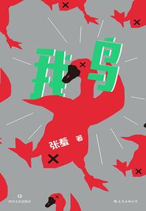 盛宠摄政妃