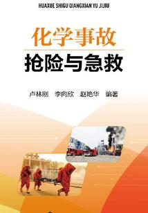 我是斗气之王